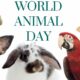 world animal day