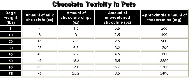 chocolate-toxicity-chart
