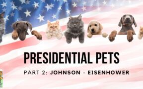 Presidential Pets Part Two: Johnson - Eisenhower