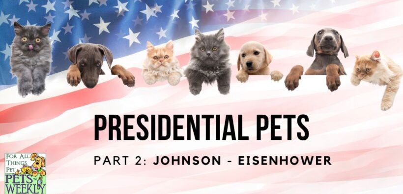 Presidential Pets Part Two: Johnson - Eisenhower