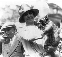 Pets in the White House Calvin and Grace Coolidge Raccoon