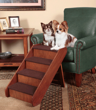 Deluxe Pet Stairs