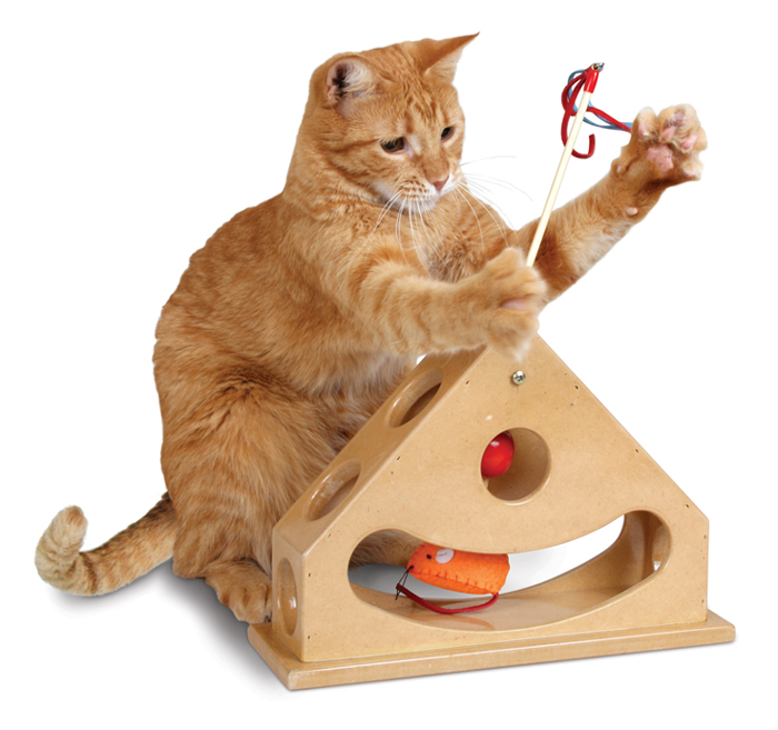 Smart Cat Toys Petsweekly Com