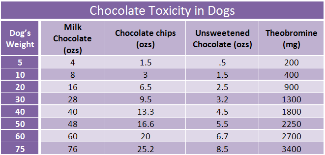 Chocolate-toxicity-chart-dogs