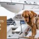 Keeping pets safe on boats