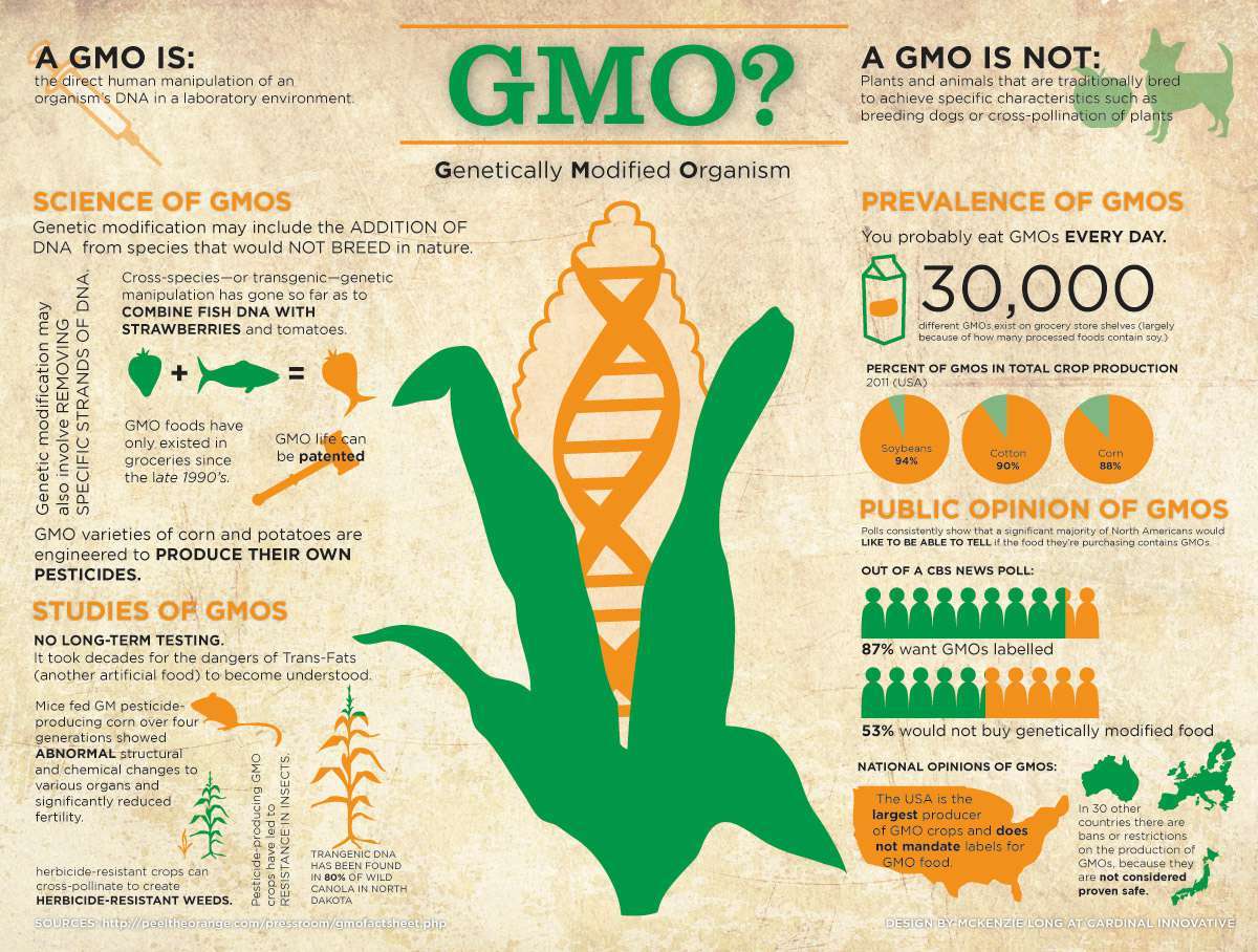 GMO Fact Sheet
