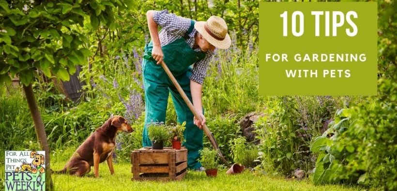 10 Tips for Gardening with Pets