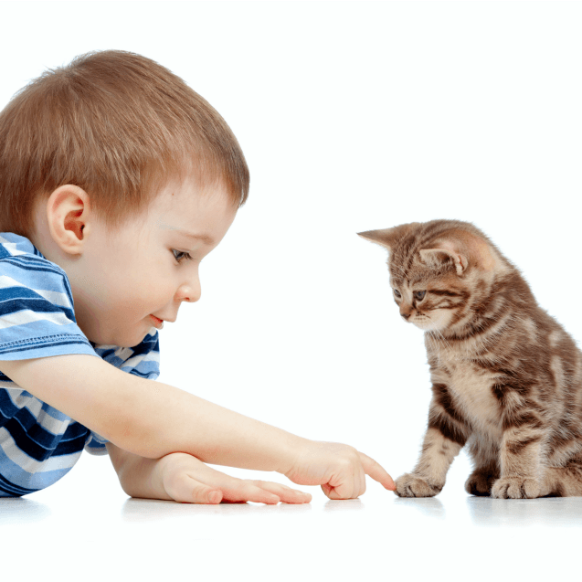 kid and cat