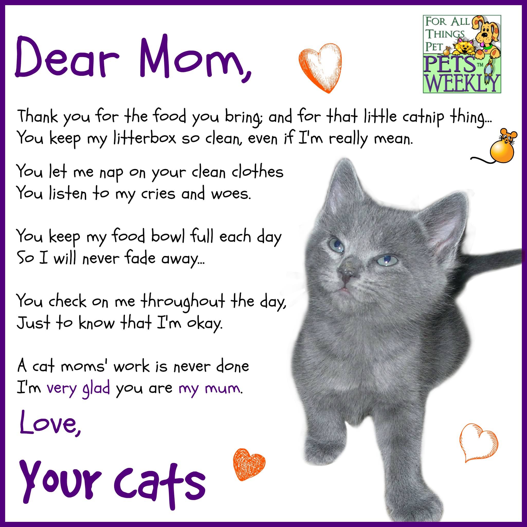 happy-mother-s-day-petsweekly