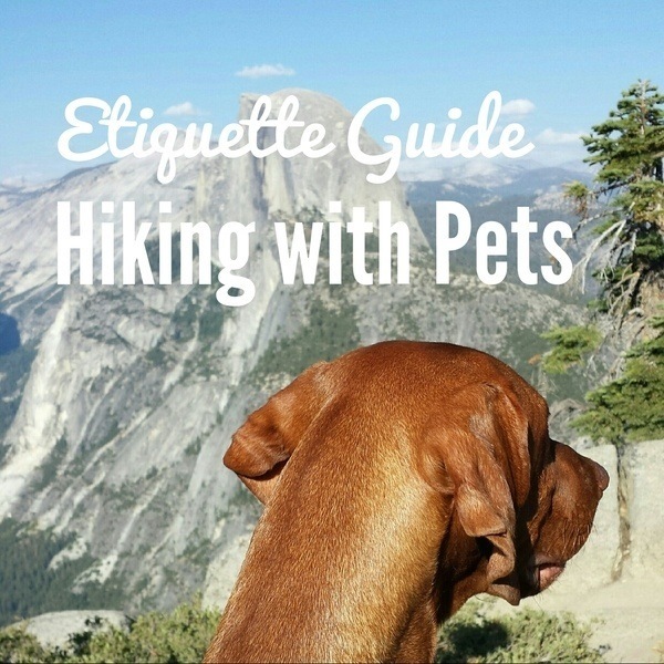 Hiking with Pets