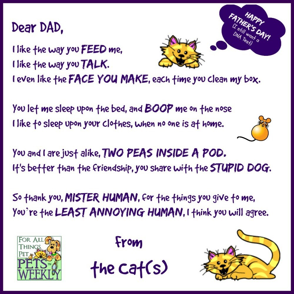 Father's Day Gift Card from the Cat