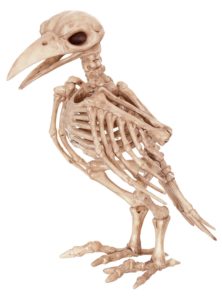 Raven Skeleton