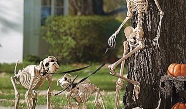 Halloween Yard Decor You Won T Want To Miss Petsweekly Com