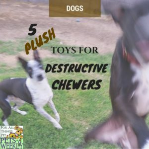 Plush toys for destructive chewers
