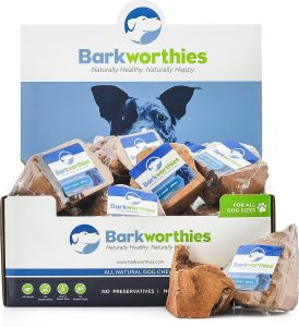 Barkworthies tree root