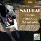 Natural Chews for Dogs