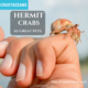 land hermit crabs
