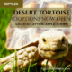 desert tortoise