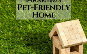 buying pet-friendly home