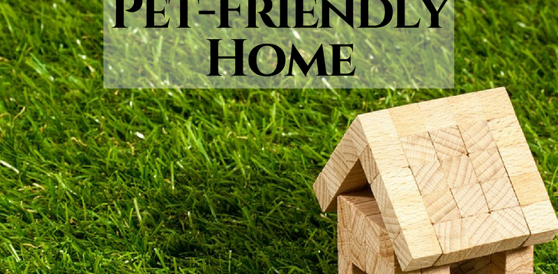 buying pet-friendly home