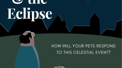 How the Eclipse Might Impact Animals - PetsWeekly.com
