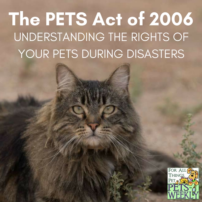 understanding the pets act of2006