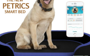 Petrics Smart Bed