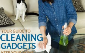 Cleaning Gadgets for Pets