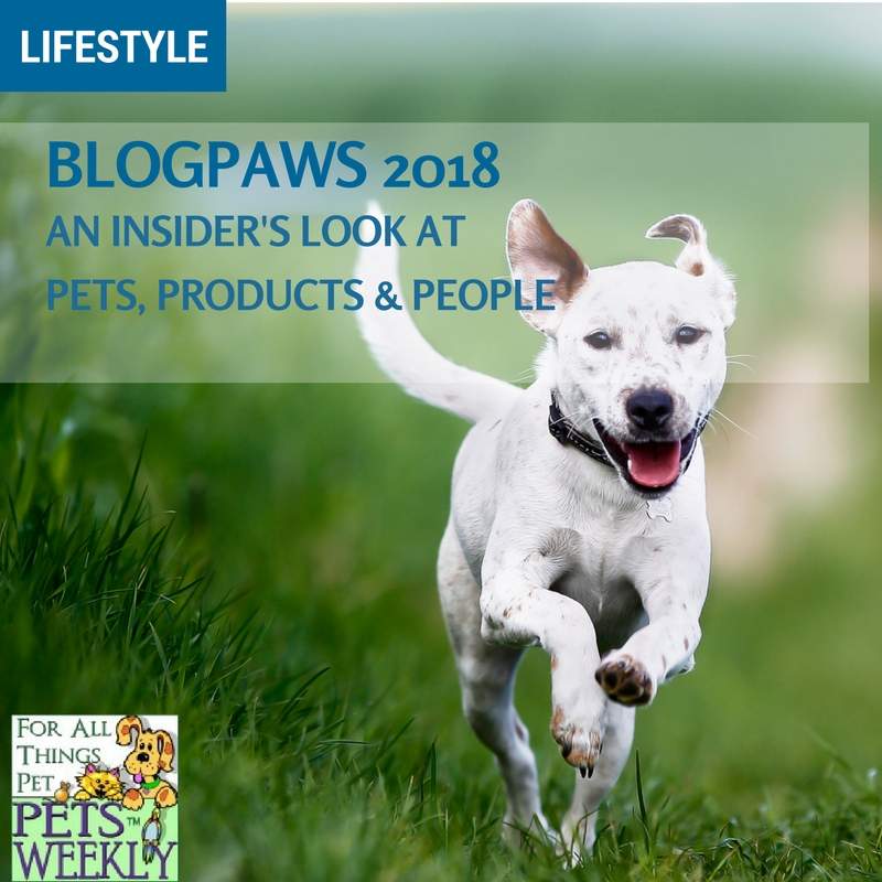 2018 Blogpaws Cover