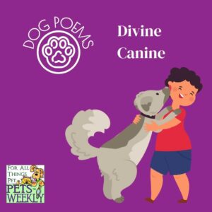 Dog Poems - Divine Canine