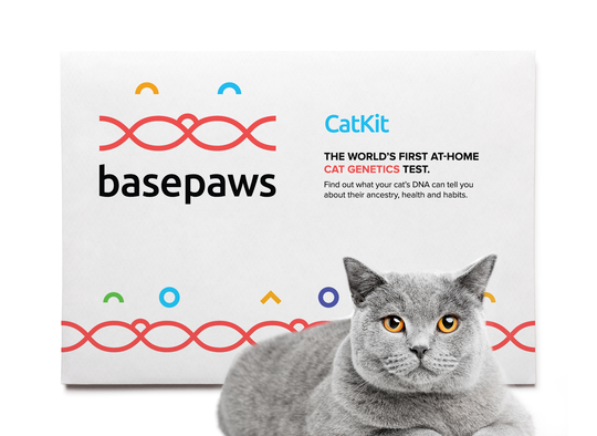 dna test for cats