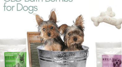 diy dog bath bomb