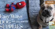 organize dog supplies