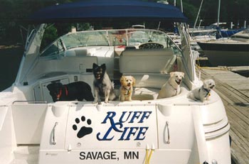 Boating with Pets