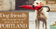 dog-friendly portland