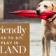 dog-friendly portland