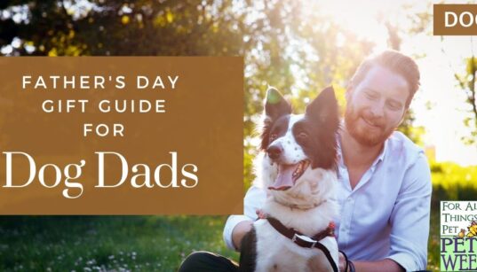 Dog Dad Gift Guide for Father's Day