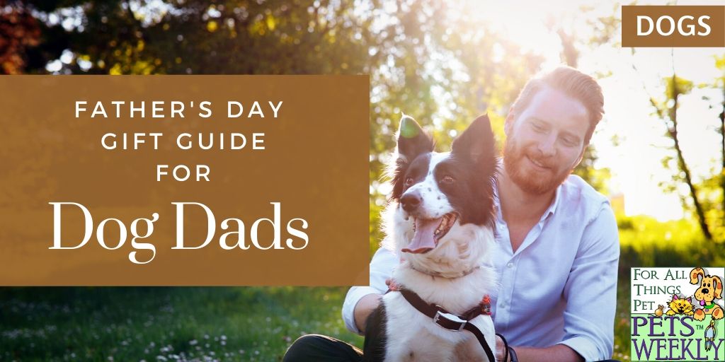 gifts from the dog to dad