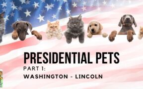 Presidential Pets: Washington-Lincoln