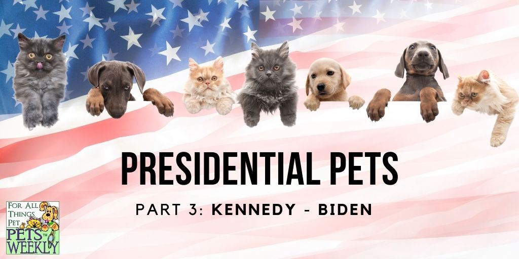 first pets of the presidents