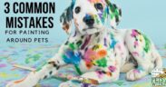 3 common mistakes for painting around pets