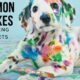 3 common mistakes for painting around pets