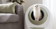 Automated cat litter box