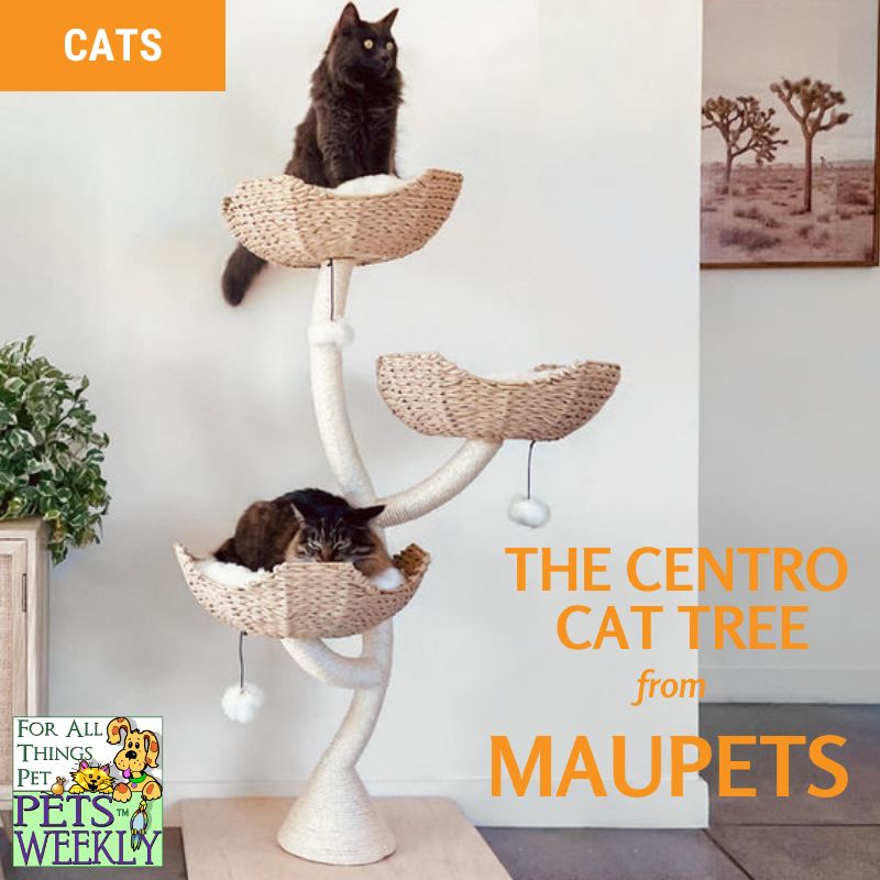 The MauPets Cento Cat Tree Review
