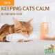 Keeping Cats Calm