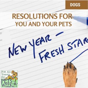 pet resolutions
