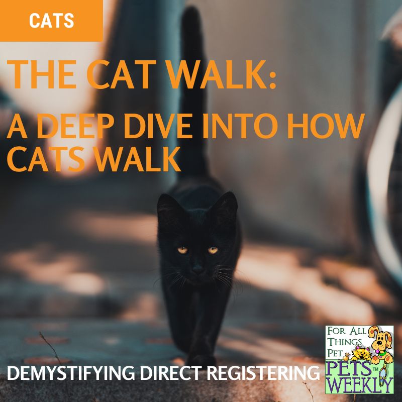 How cats walk - a look at direct registering