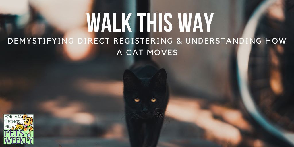How cats walk - a look at direct registering