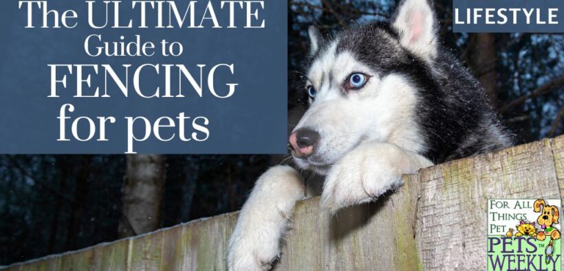 Fencing Ultimate Guide for Pets