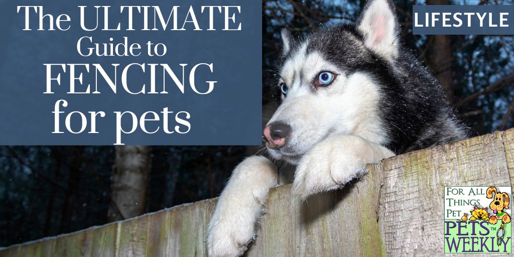 Fencing Ultimate Guide for Pets